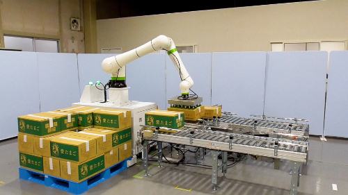 製造業_鶏卵の積み付け事例